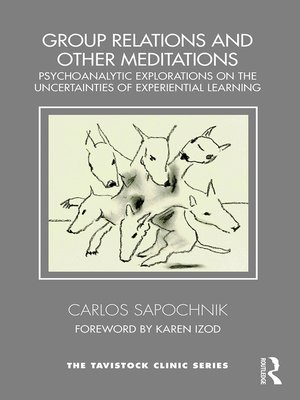 cover image of Group Relations and Other Meditations